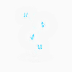 蓝色蝴蝶背景图