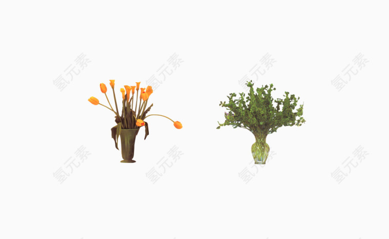 小黄花