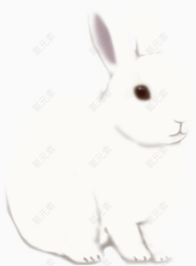 白色大兔子