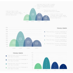 椭圆形分类占比图