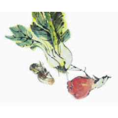 卡通水彩画小白菜