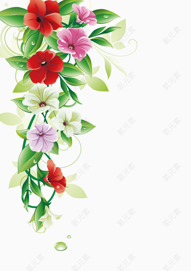 花卉边框