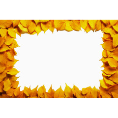 叶子方框