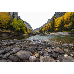 林芝景区尼洋河