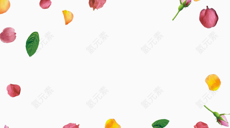 花瓣叶子