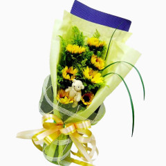 白色小熊向日葵