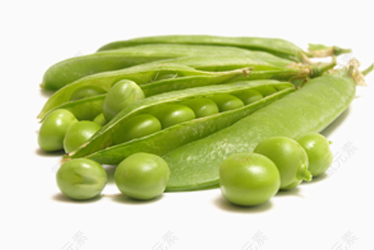 小豆子