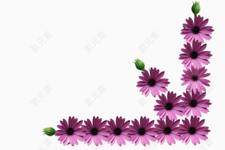 卡通手绘边框雏菊