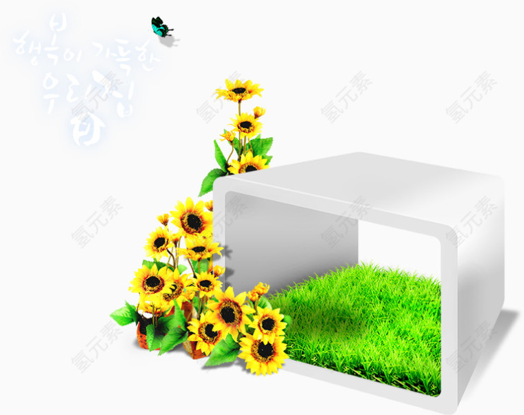 花朵与白色框框