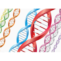 生物DNA图片