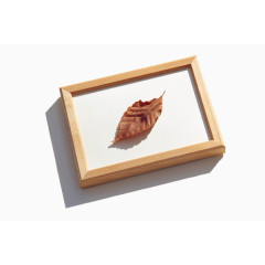 文艺范儿木质相框落叶