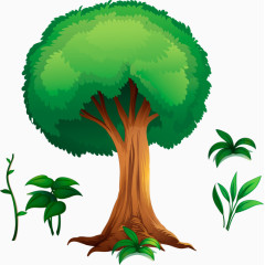 绿色小树覆盖你的家园