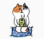 手绘猫咪插画表情包