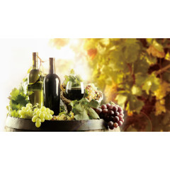 红酒 葡萄 装饰图案