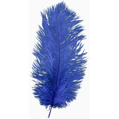 蓝紫色羽毛装饰素材