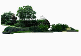 植物园林灌木绿化带