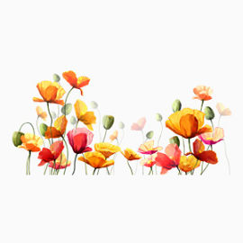 红色花朵浪漫地产大气