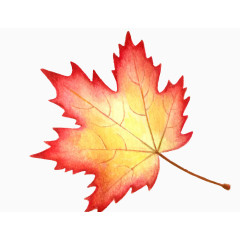 秋叶红色枫叶背景