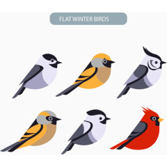 扁平的生动小鸟