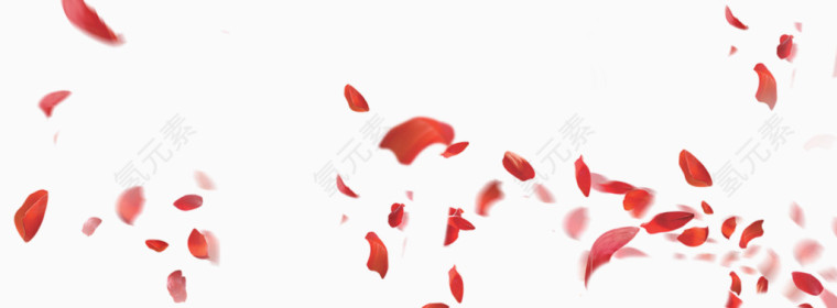 花瓣