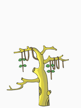 小树