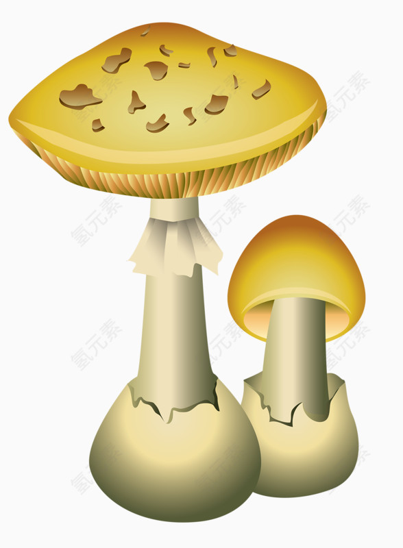 大小蘑菇
