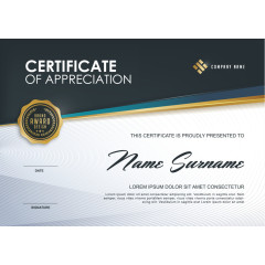 矢量简约风格证书