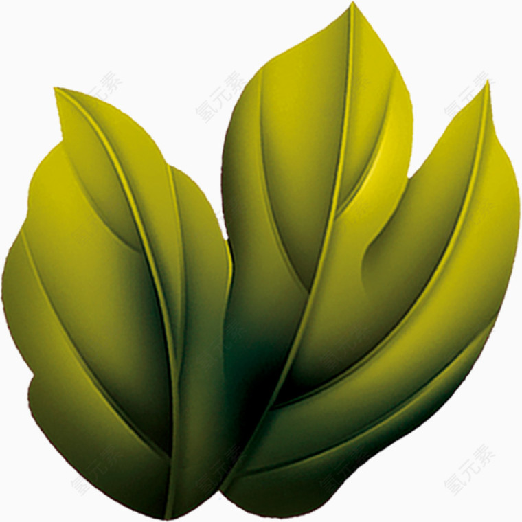绿色树叶