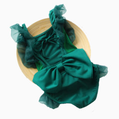 韩国小公主儿童泳衣