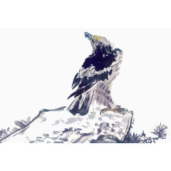 水墨鹰水墨画