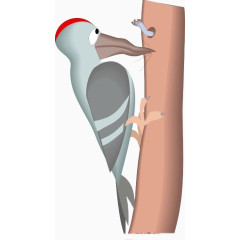 啄木鸟捉虫