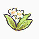 花回收脚踏实地