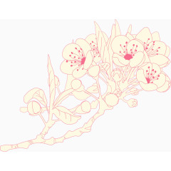 简笔画樱花