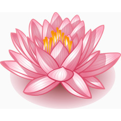 唯美卡通莲花矢量图