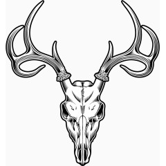 矢量手绘羚羊头