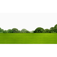 草地森林免抠素材