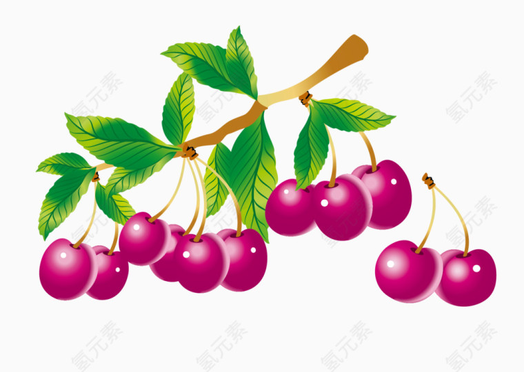 樱桃矢量图