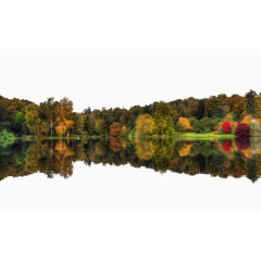 秋天森林倒影图