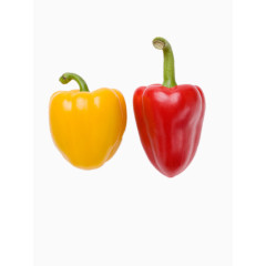 黄红辣椒矢量图