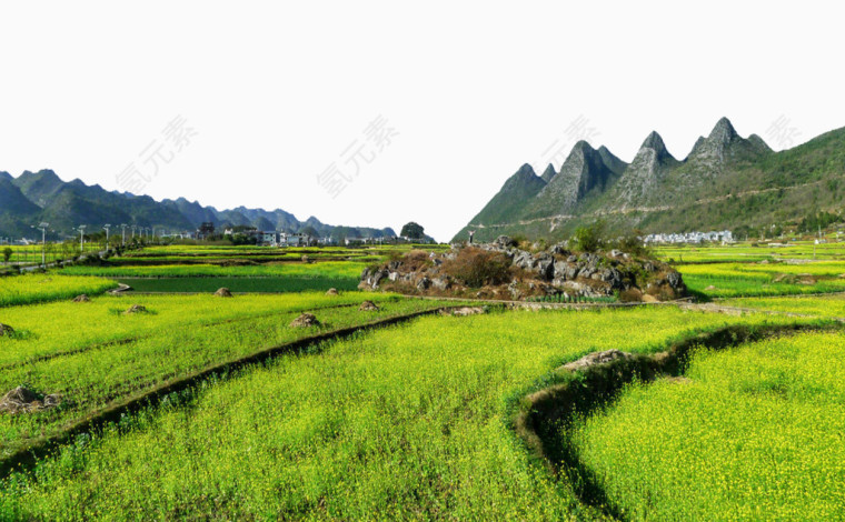 万峰林风光