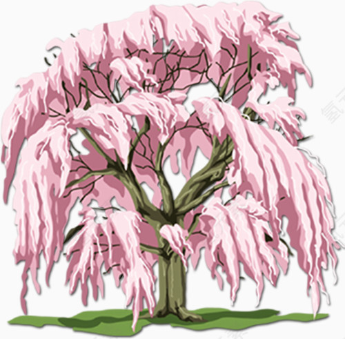 一棵樱花树