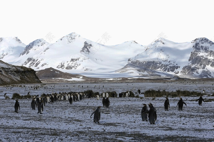 美丽南极雪