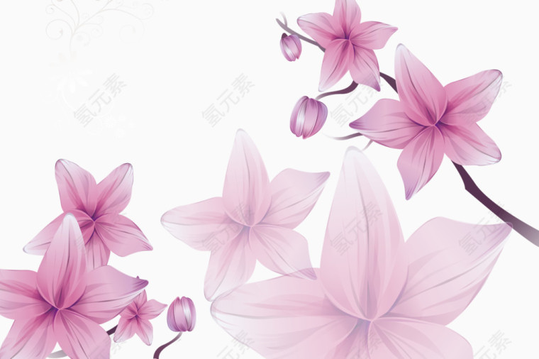 粉色蝶恋花
