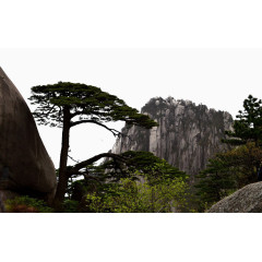 黄山迎客松风景摄影