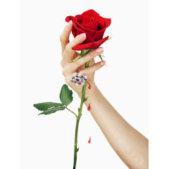 手拿玫瑰