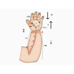 小儿推拿手臂穴位图