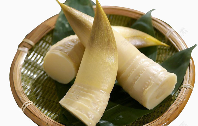 蔬菜类竹笋