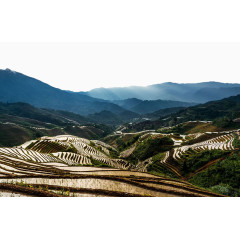 水田梯田