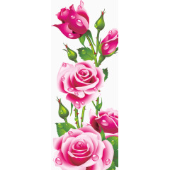 姹紫嫣红花朵花苞绿叶