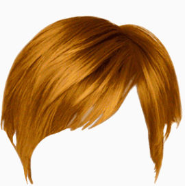 头发   假发   发型